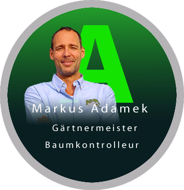 Markus Adamek