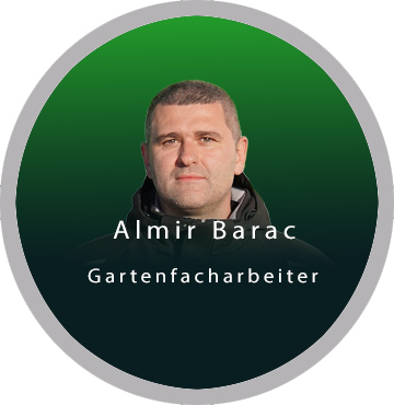 Teambilder, Einzelbild, Barac