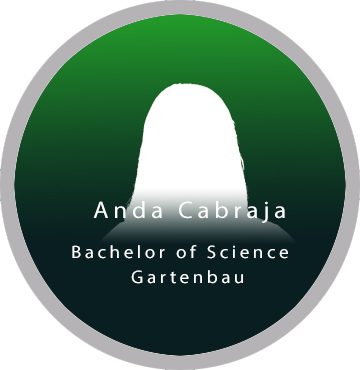 Teambilder, Einzelbild Cabaraja