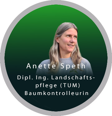 Teambilder, Einzelbild Speth