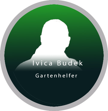 Teambilder Einzelbild Budek