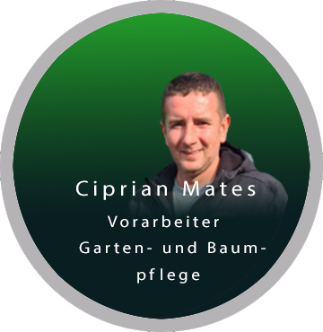Teambilder Einzelbild Mates