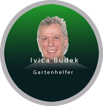 Teambilder Einzelbild