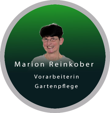 Teambilder Einzelbild