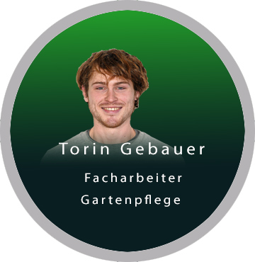 Teambilder Einzelbild